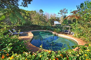 Acacia Dreaming At Light On Retreat - Accommodation Port Hedland 3