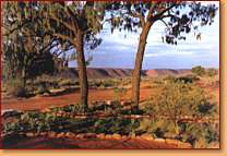 Kings Creek Station - Accommodation Port Hedland 1