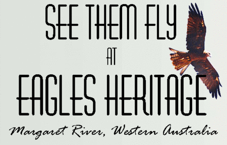 Eagles Heritage Raptor Wildlife Centre - Accommodation Port Hedland