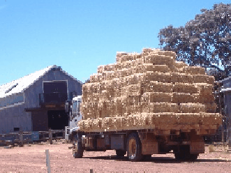 Avondale Discovery Farm - Accommodation Port Hedland 1