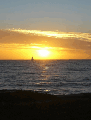 Kidogo Arthouse - Accommodation Port Hedland 1
