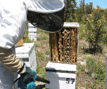 The House Of Honey - Accommodation Port Hedland 0