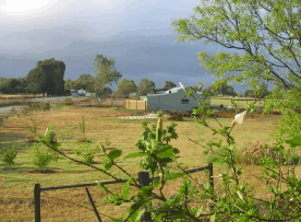 The House Of Honey - Accommodation Port Hedland 2