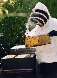 The House Of Honey - Accommodation Port Hedland 3