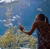 The Aquarium of Western Australia - Accommodation Port Hedland