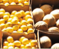 Brisbane Markets - Accommodation Port Hedland