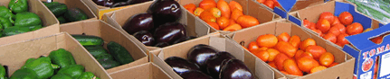 Brisbane Markets - Accommodation Port Hedland 3