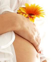 Glow Retreat - Accommodation Port Hedland 1