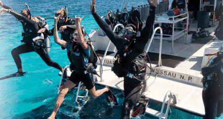 Snorkel Safari Brisbane - Accommodation Port Hedland