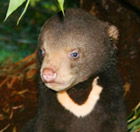 Perth Zoo - Accommodation Port Hedland 0