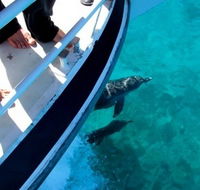 Pelican Charters - Accommodation Port Hedland