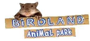 Birdland Animal Park - Accommodation Port Hedland