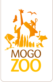 Mogo Zoo - Accommodation Port Hedland