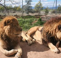 Mansfield Zoo - Accommodation Port Hedland