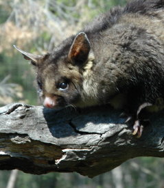  Accommodation Port Hedland