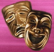 Nu Show - Accommodation Port Hedland