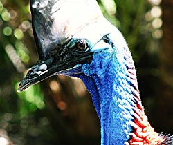 Alma Park Zoo - Accommodation Port Hedland 0