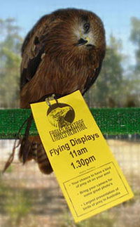Eagles Heritage - Accommodation Port Hedland 1