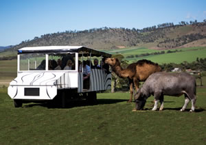 Zoo Doo Wildlife Park - Accommodation Port Hedland 2