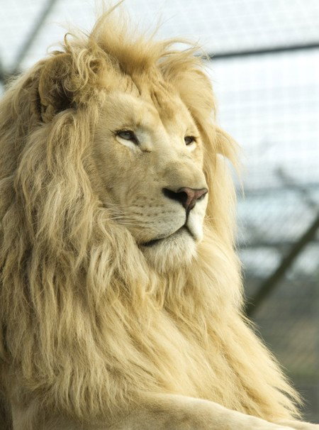 Zoo Doo Wildlife Park - Accommodation Port Hedland 3