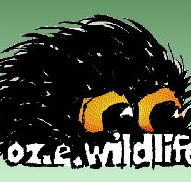 OZe Wildlife - Accommodation Port Hedland