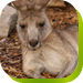  Accommodation Port Hedland