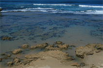 Braddon ACT Accommodation Port Hedland