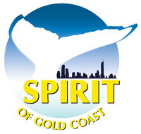 Spirit of Gold Coast Whale Watching - Accommodation Port Hedland