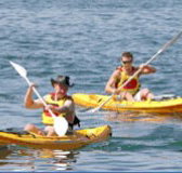 Manly Kayaks - Accommodation Port Hedland