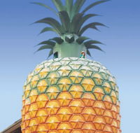 The Big Pineapple - Accommodation Port Hedland