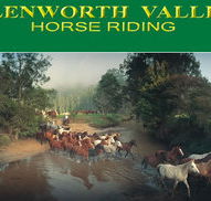 Glenworth Valley Horseriding - Accommodation Port Hedland
