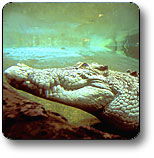 Kakadu National Park - Accommodation Port Hedland 1