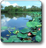 Kakadu National Park - Accommodation Port Hedland 3