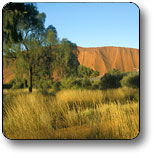  Accommodation Port Hedland