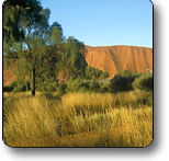 Uluru - Kata Tjuta National Park - Accommodation Port Hedland