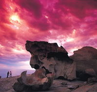 Kangaroo Island Adventure Tour 2 day/1 night - Accommodation Port Hedland