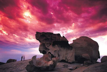 Kangaroo Island Adventure Tour 2 Day/1 Night - Accommodation Port Hedland 0