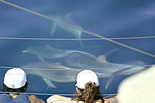 Temptation Sailing - Accommodation Port Hedland 2