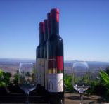 Mount Tamborine Winery  Homestead - Accommodation Port Hedland