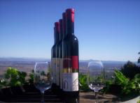 Mount Tamborine Winery & Homestead - Accommodation Port Hedland 0