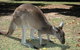 Bunbury Wildlife Park - thumb 1