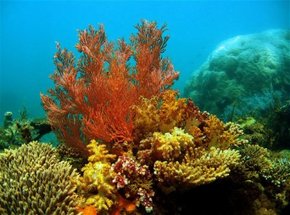  Accommodation Port Hedland