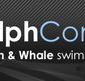 Dolphcom - Dolphin  Whale Swimming Adventures - Accommodation Port Hedland