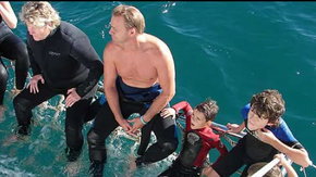 Dolphcom - Dolphin & Whale Swimming Adventures - Accommodation Port Hedland 2