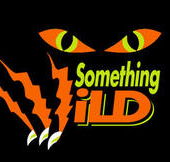 Something Wild - Accommodation Port Hedland