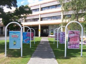 Cadbury Chocolate Factory Tour - Accommodation Port Hedland 2