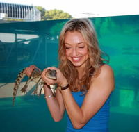 Crocosaurus Cove - Accommodation Port Hedland