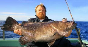 Bravo Fishing Charters - Accommodation Port Hedland 0