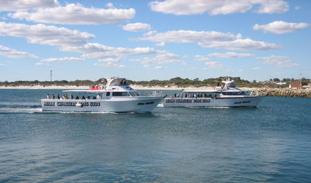 Mills Charters Fishing And Whale Watch Cruises - Accommodation Port Hedland 2