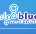 Ningaloo Blue Dive - Accommodation Port Hedland